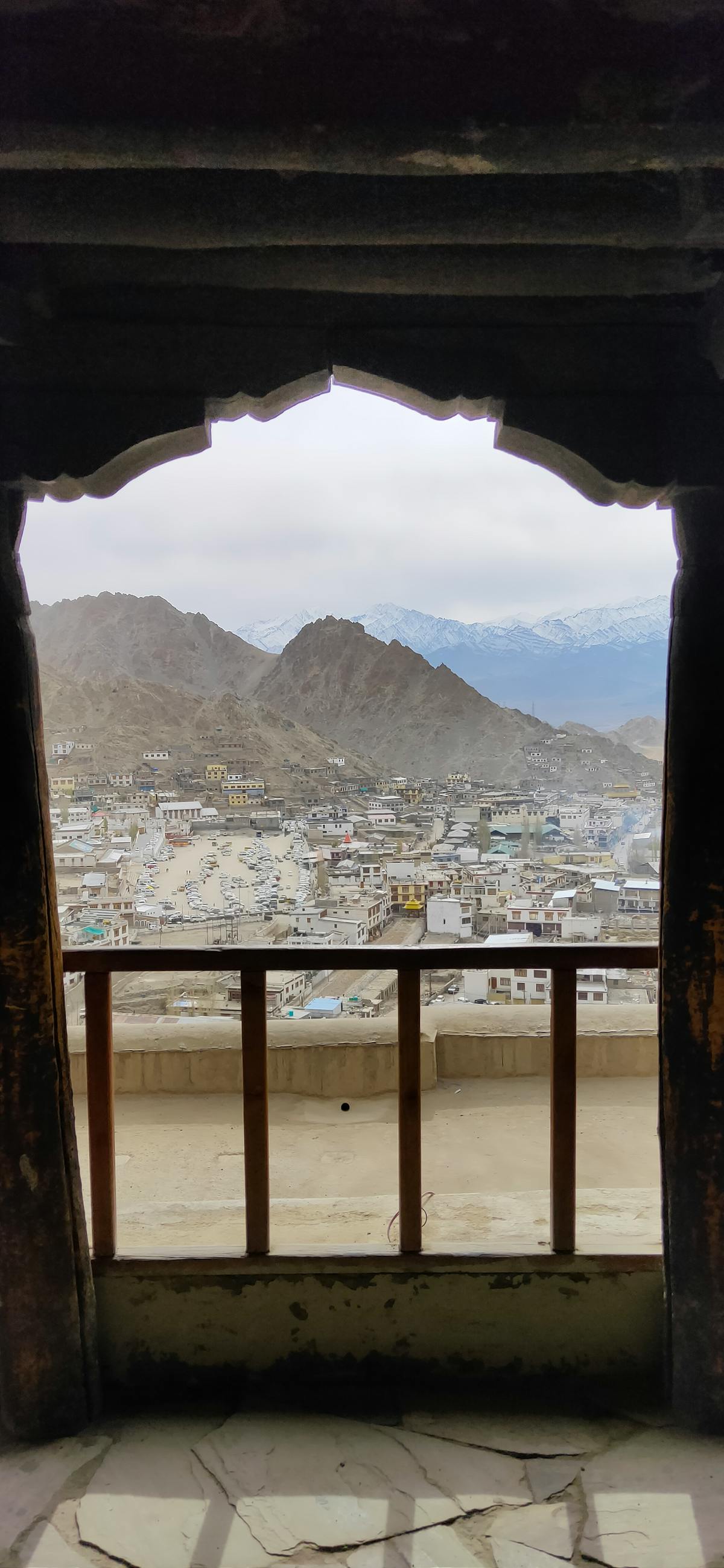 Super Rats in Westchester & the Bronx: What You Need to Know About Rodenticide-Resistant Rodents