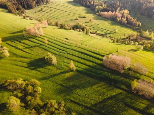 Fotos de stock gratuitas de foto con dron, fotografía aérea, paisaje