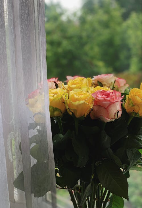 Bunch of blooming fragrant roses with green leaves placed on windowsill at home