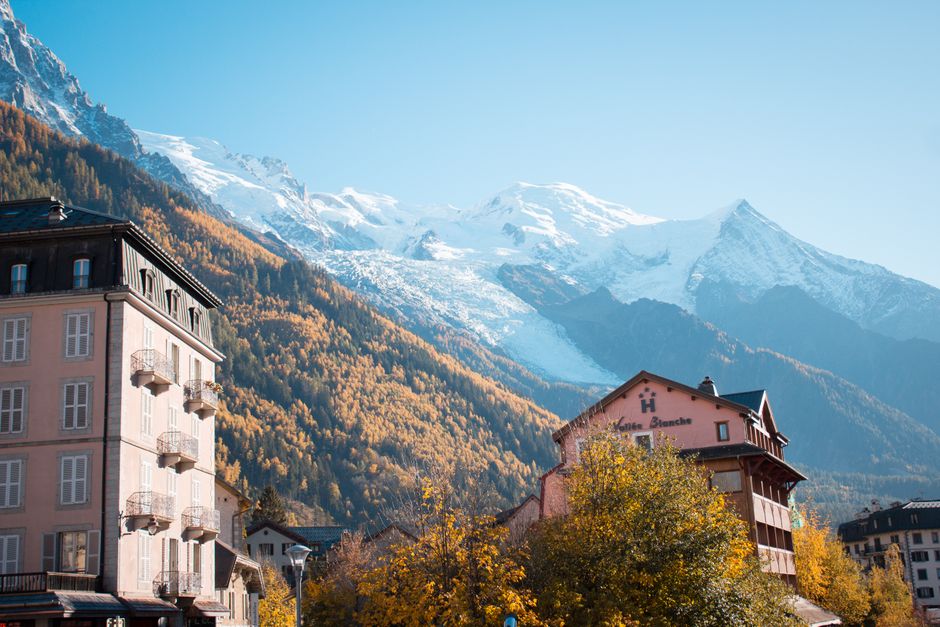 https://images.pexels.com/photos/8253154/pexels-photo-8253154.jpeg?auto=compress&cs=tinysrgb&h=650&w=940