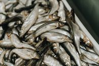 Silver Fishes on White Ceramic Container