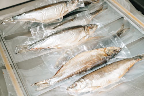 Free Fish Preserved in Vacuum Pack Plastic Stock Photo