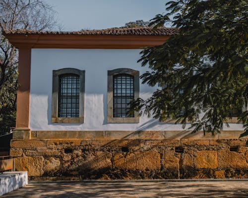 Foto d'estoc gratuïta de arbre, barres, edifici