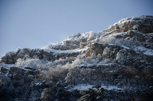 Rock Mountain Covered with Trees and Thick Snow 