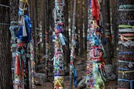 Blue and Red Scarf Hanged on Brown Wooden Fence