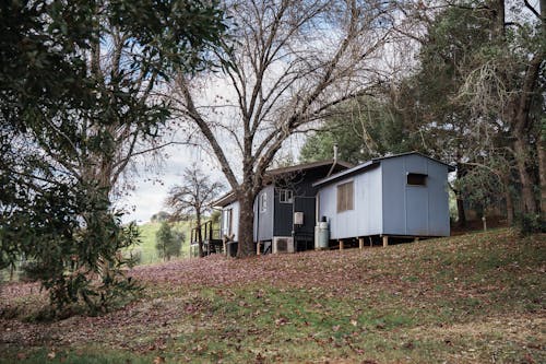 Blue House Near Trees