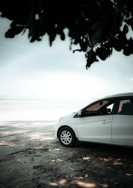 A white car parked on a serene beach under overhanging tree branches, offering a peaceful coastal view. - Renting a Car in Barbados