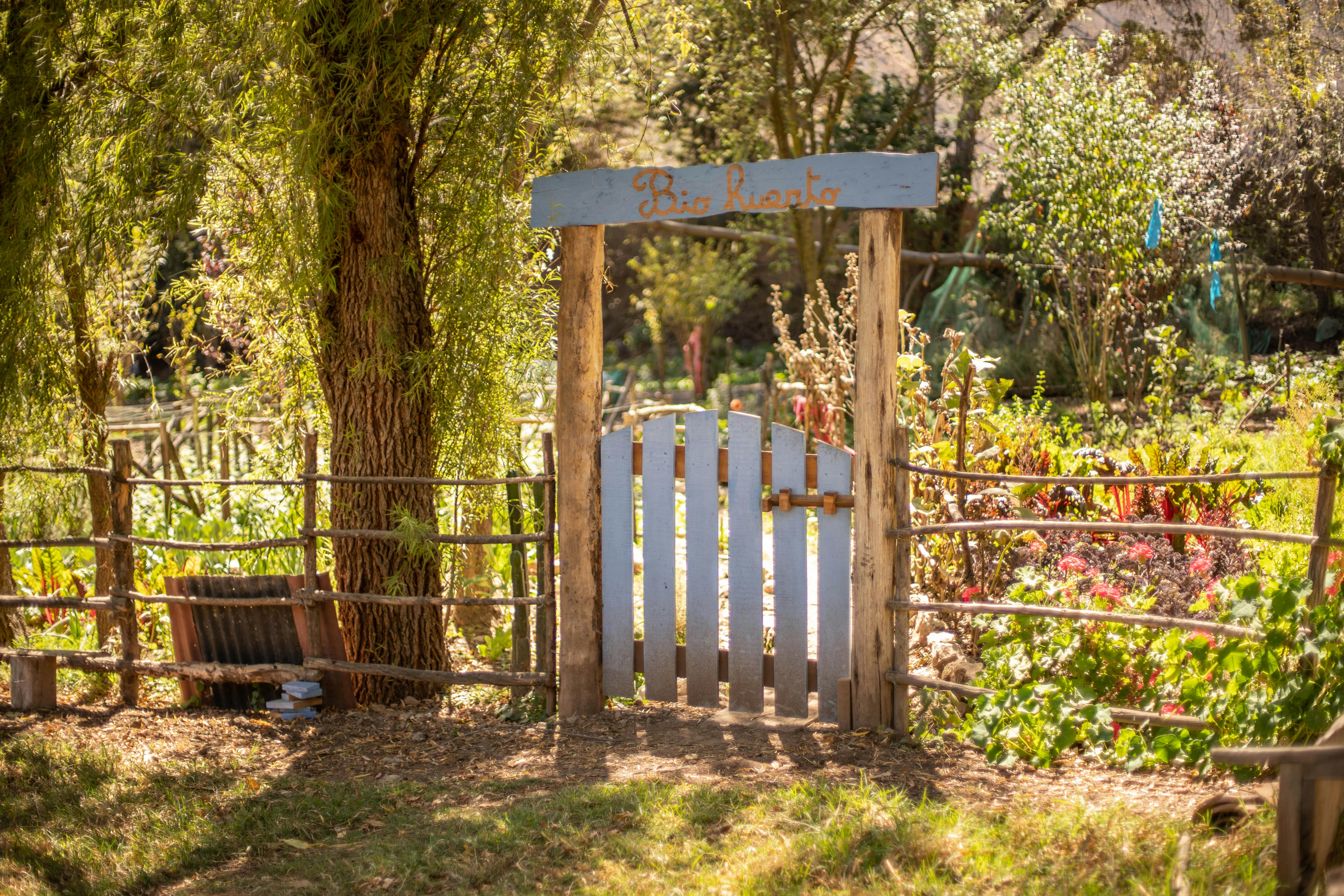 Food forest design California