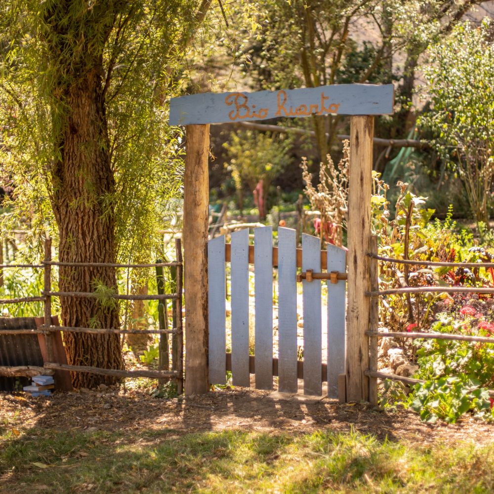 Fence and Decking Painting in Leytonstone — woodwork brushed to a crisp, smooth line