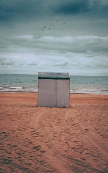 A solitary beach shed on De Panne's sandy coast under a cloudy sky.