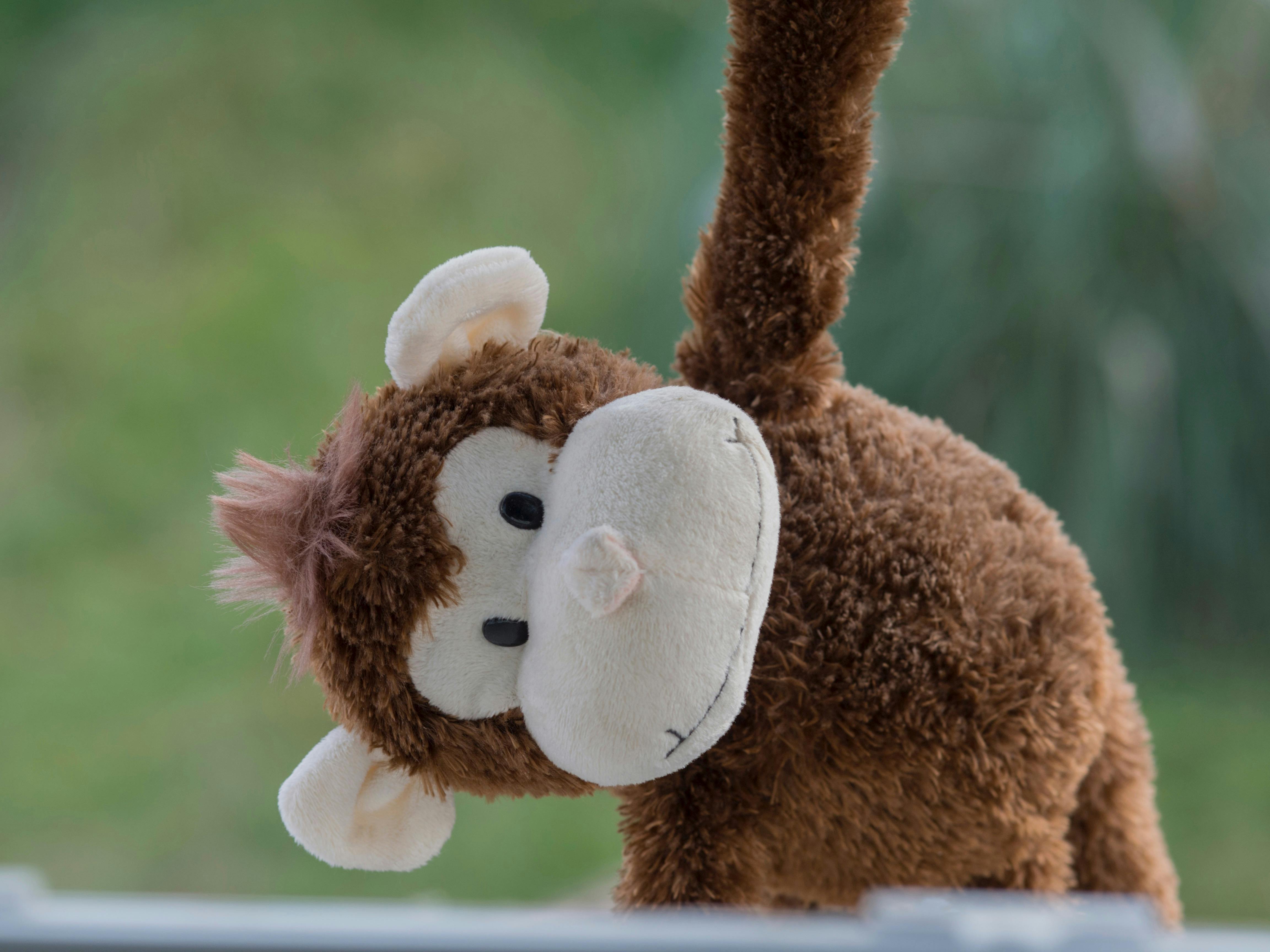 snow monkey plush