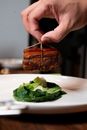 Person Holding Cooked Meat on White Ceramic Plate