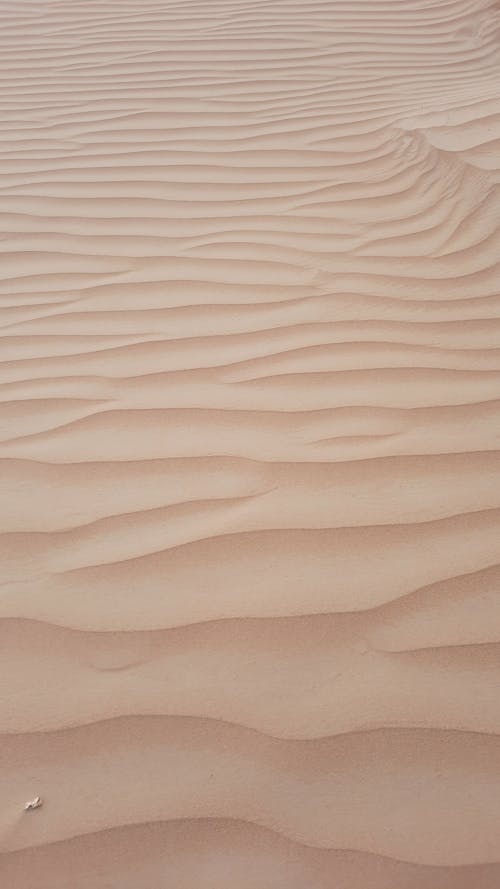 Foto profissional grátis de areia, árido, deserto