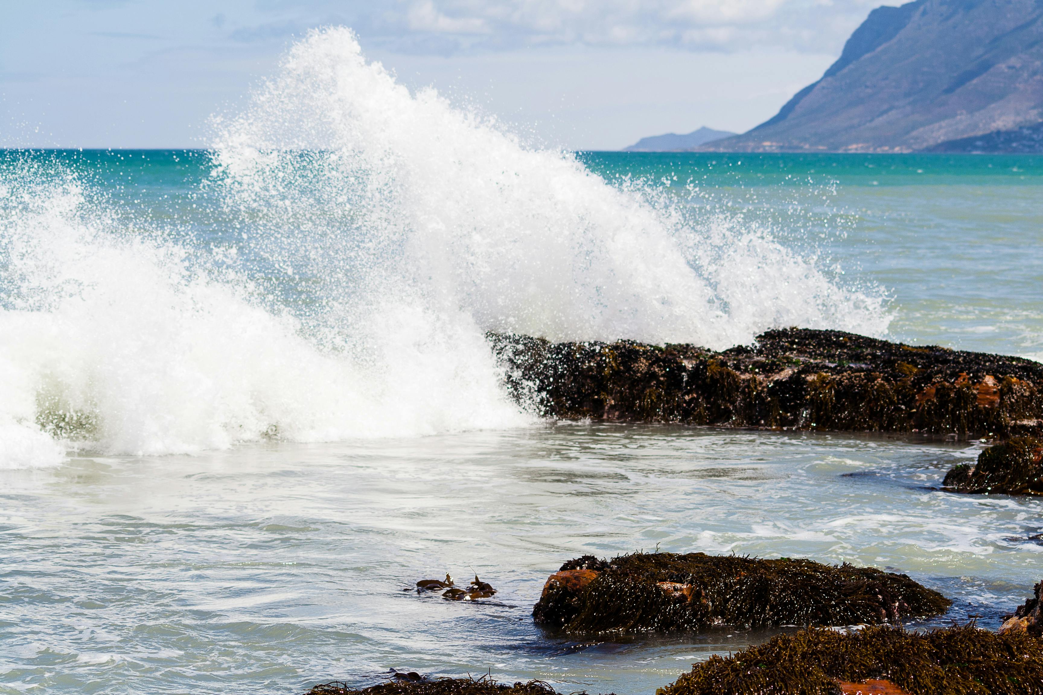 Free stock photo of Cape Town, st james, wave crashing