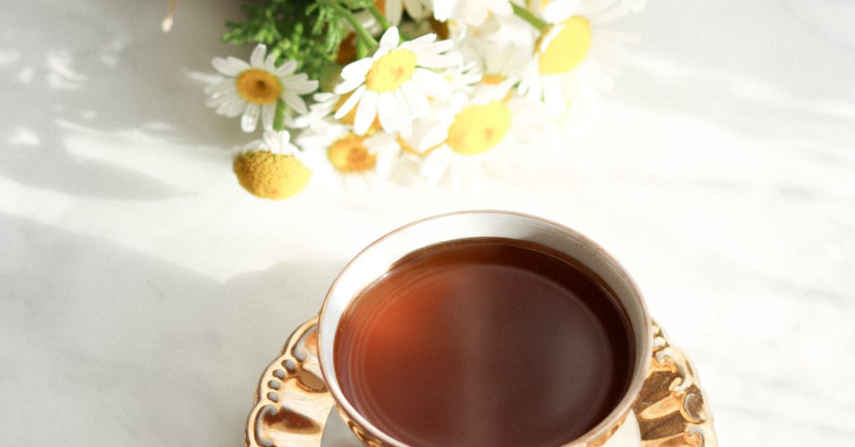 How do you make chamomile tea from the plant