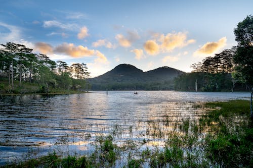 Foto profissional grátis de água, ao ar livre, árvores