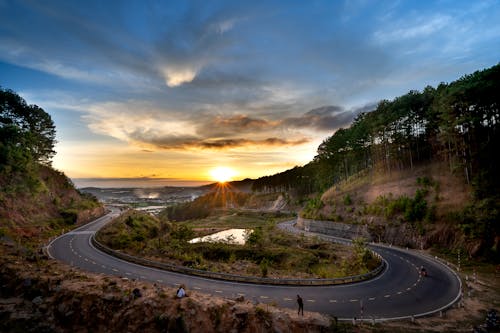 Fotos de stock gratuitas de arboles, bosque, carretera