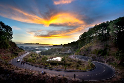 A Moving Cars on the Road Near the Green Trees