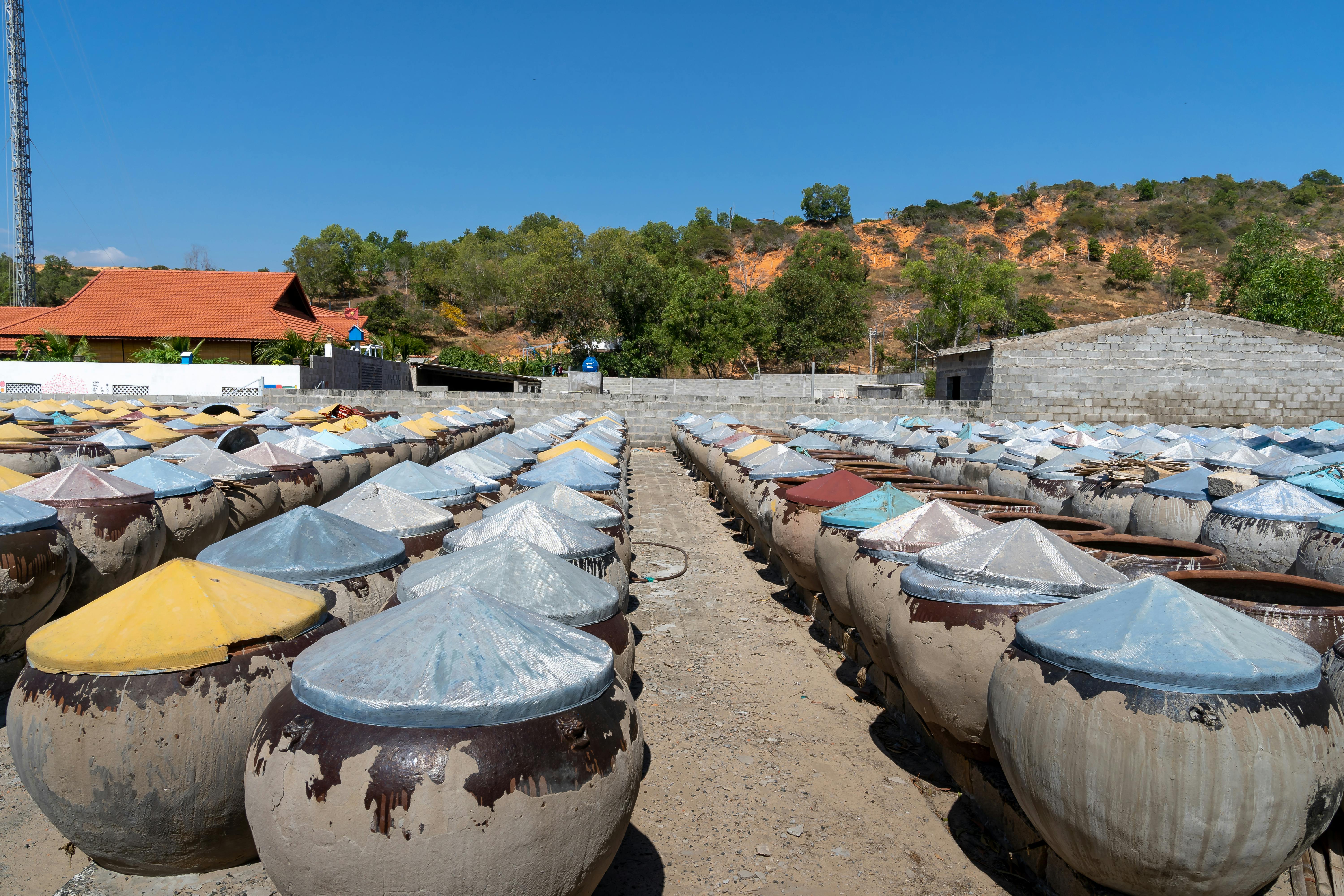 Rows of large traditional stoneware jars outdoors under a blue sky, used for storage.