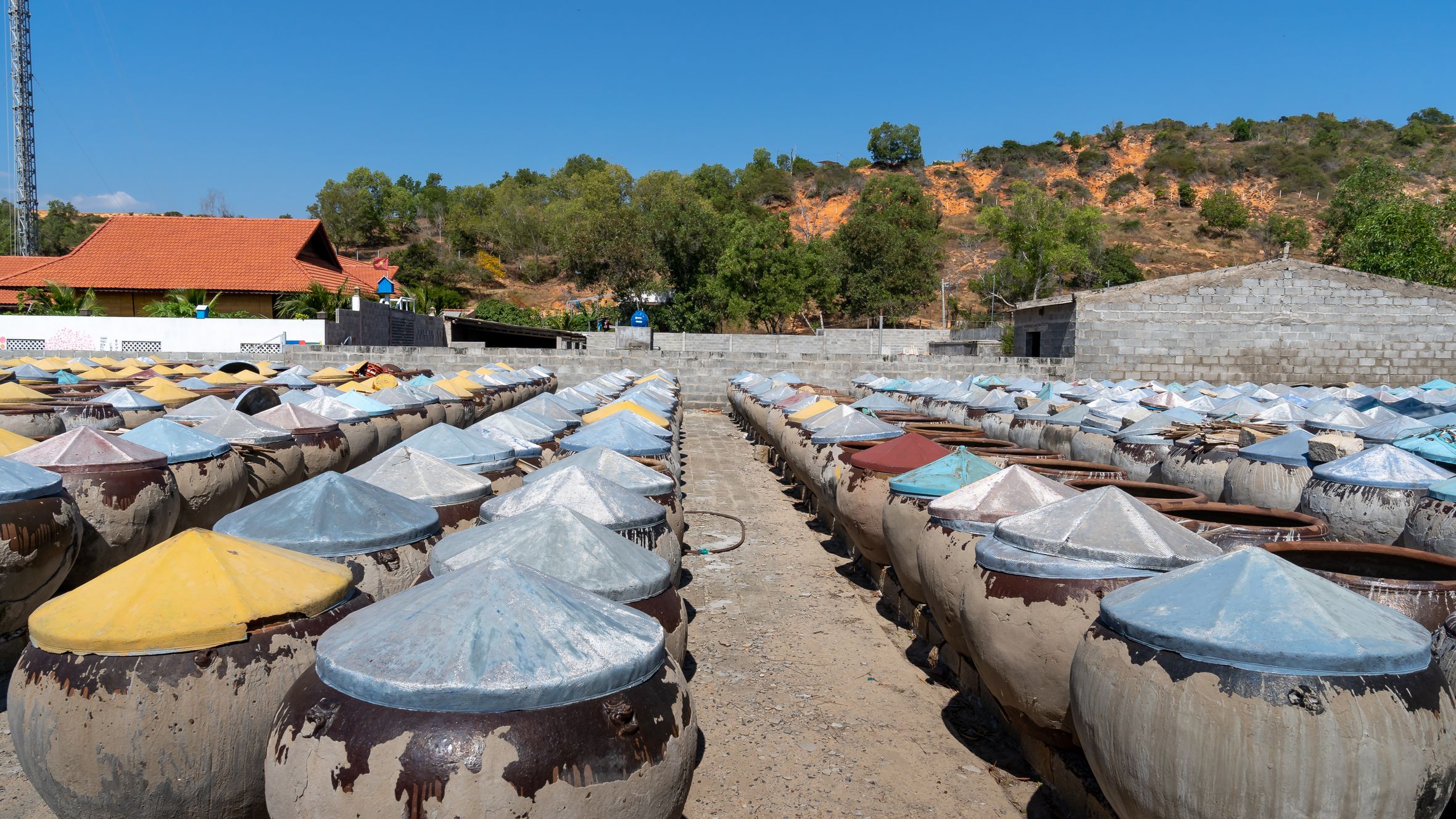 Rows of large traditional stoneware jars outdoors under a blue sky, used for storage.