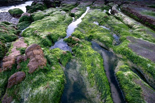 co thach 海灘, 侵蝕, 地質學 的 免費圖庫相片