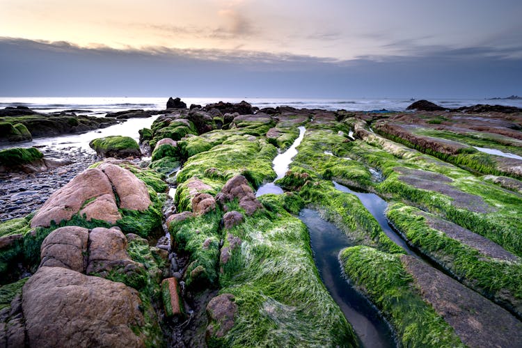 Co Thach Beach, Vietnam 