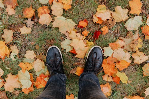 Gratis Immagine gratuita di autunno, cadere, calzature Foto a disposizione