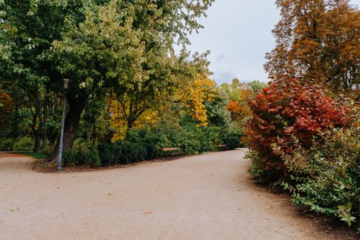 200-Plus Pills Found in Three Ottawa Parks, Police Say No Illicit Drugs