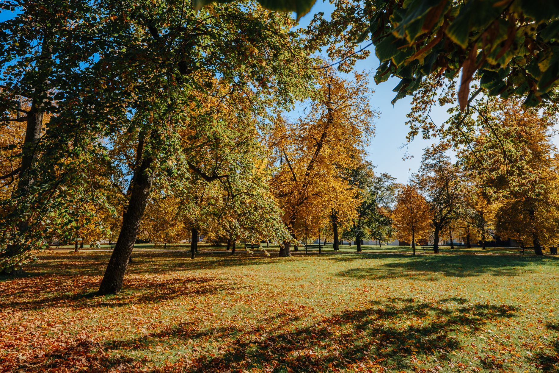 Forbury Gardens and Reading Abbey ruins on a bright afternoon