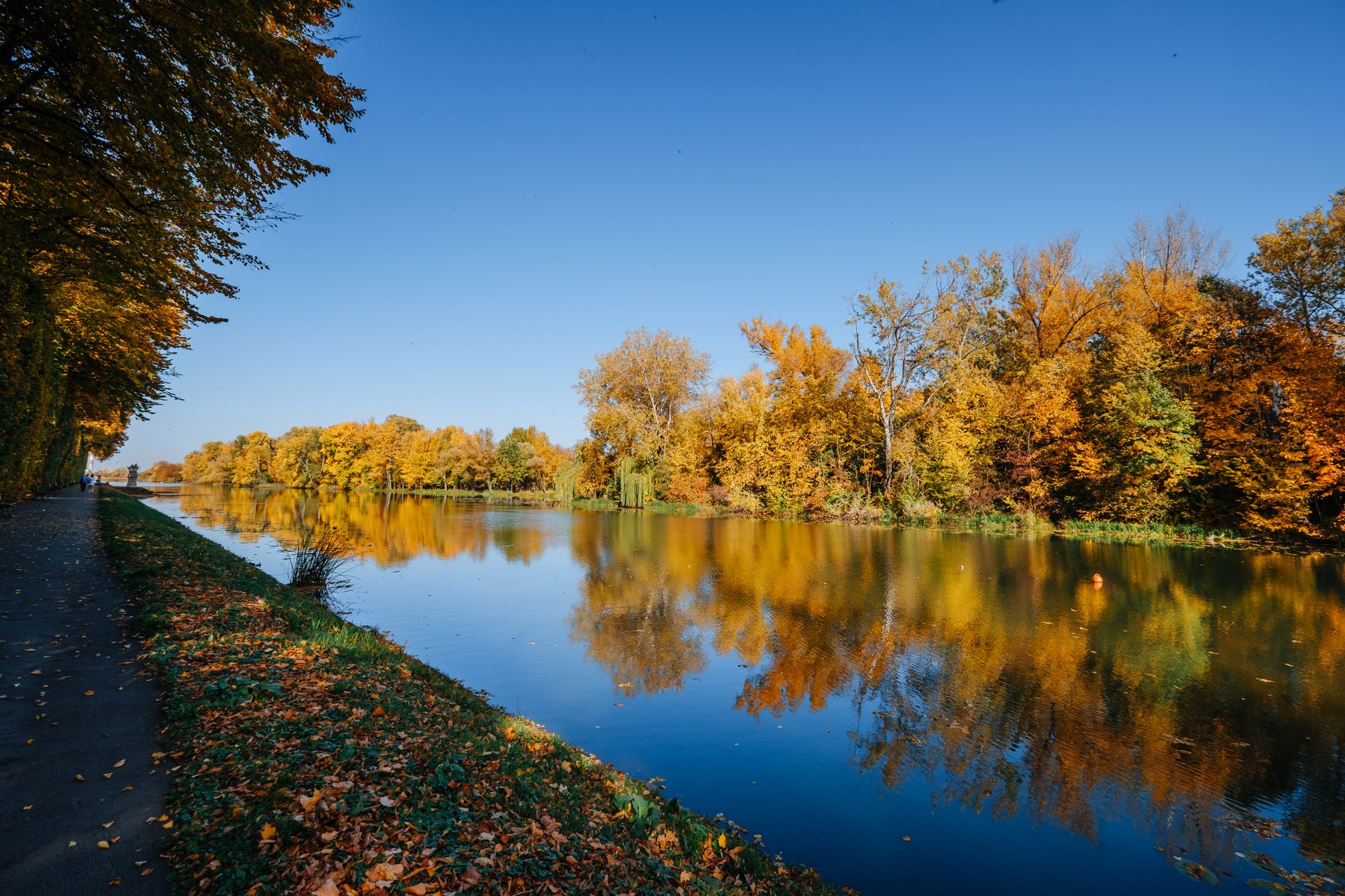 Autumn Colour Walks Along the Thames Near Reading