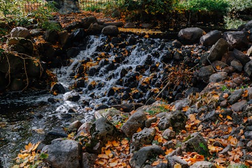 Flowing River