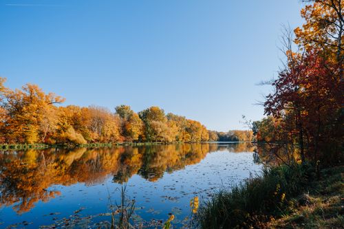 Free Peaceful autumn scene with vibrant foliage reflecting on a calm lake under a clear blue sky. Stock Photo
