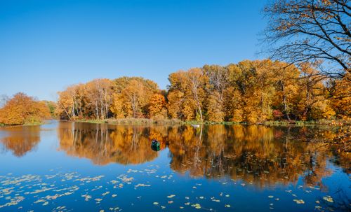 Free A tranquil autumn scene with colorful trees reflected in a calm lake under a clear blue sky. Stock Photo