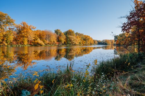 Free A serene lake surrounded by autumn trees with vibrant reflections on a clear day. Stock Photo