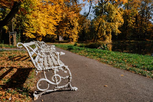 Gratis stockfoto met bank, bomen, buitenshuis