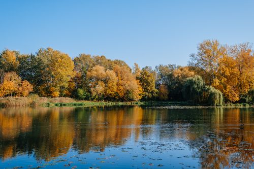 Free Peaceful autumn scene featuring vibrant trees reflected in a calm lake. Stock Photo