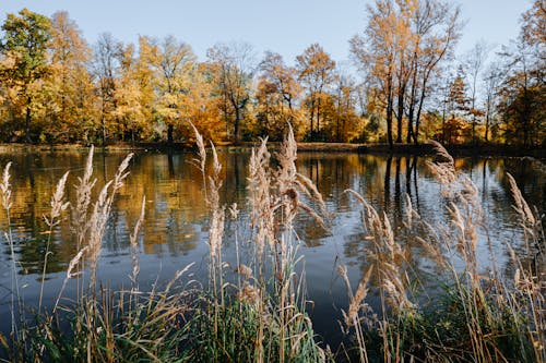 Ilmainen kuvapankkikuva tunnisteilla heijastus, järvi, joki Kuvapankkikuva