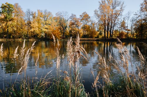 Free Serene lake scene in autumn with colorful trees and reflections, perfect for nature appreciation. Stock Photo