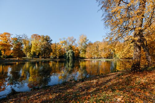 Free A beautiful lake reflecting autumn trees under a clear blue sky in a tranquil park. Stock Photo