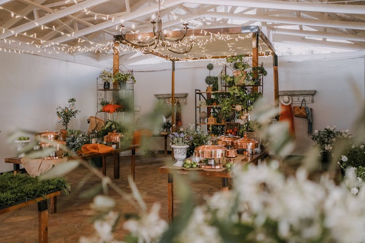 Rustic Wedding Venue With A Lot Of Plants 