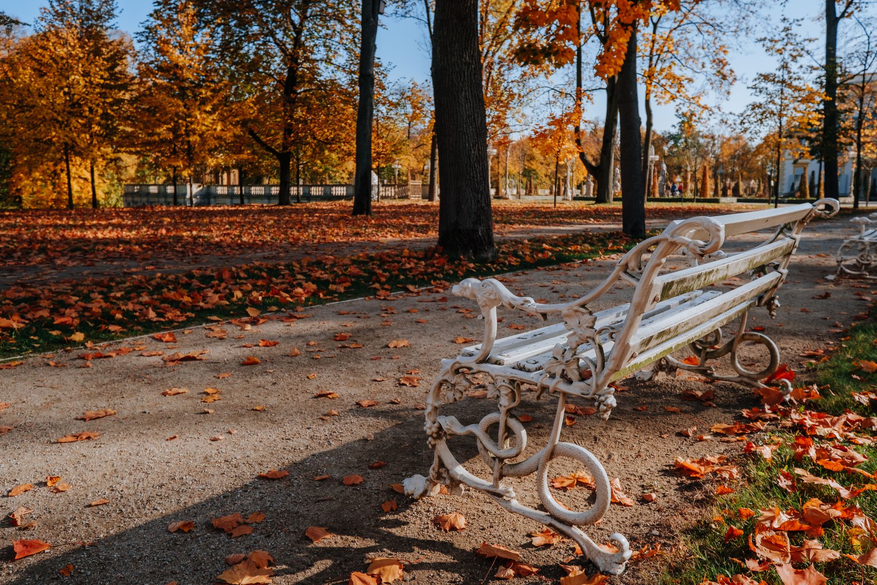 Autumn in Downtown Springfield: Walks, Food and Where to Stay