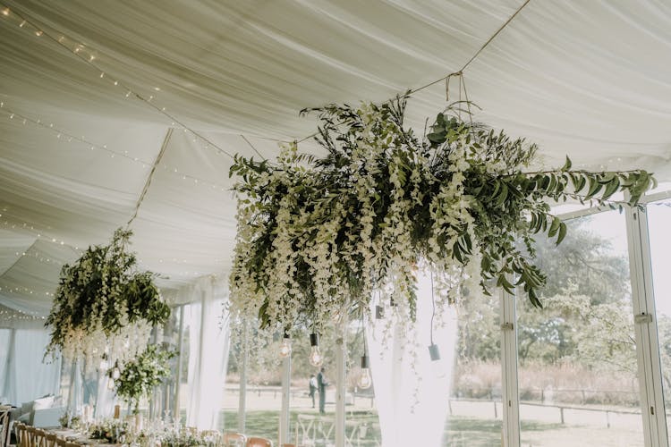 Flowers Hanging On White Sheet