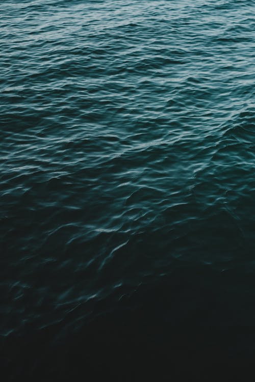 Foto profissional grátis de água, azul, corpo d'água