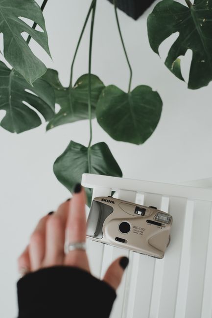 A vintage camera with a hand reaching towards it surrounded by monstera leaves in a minimalist environment.