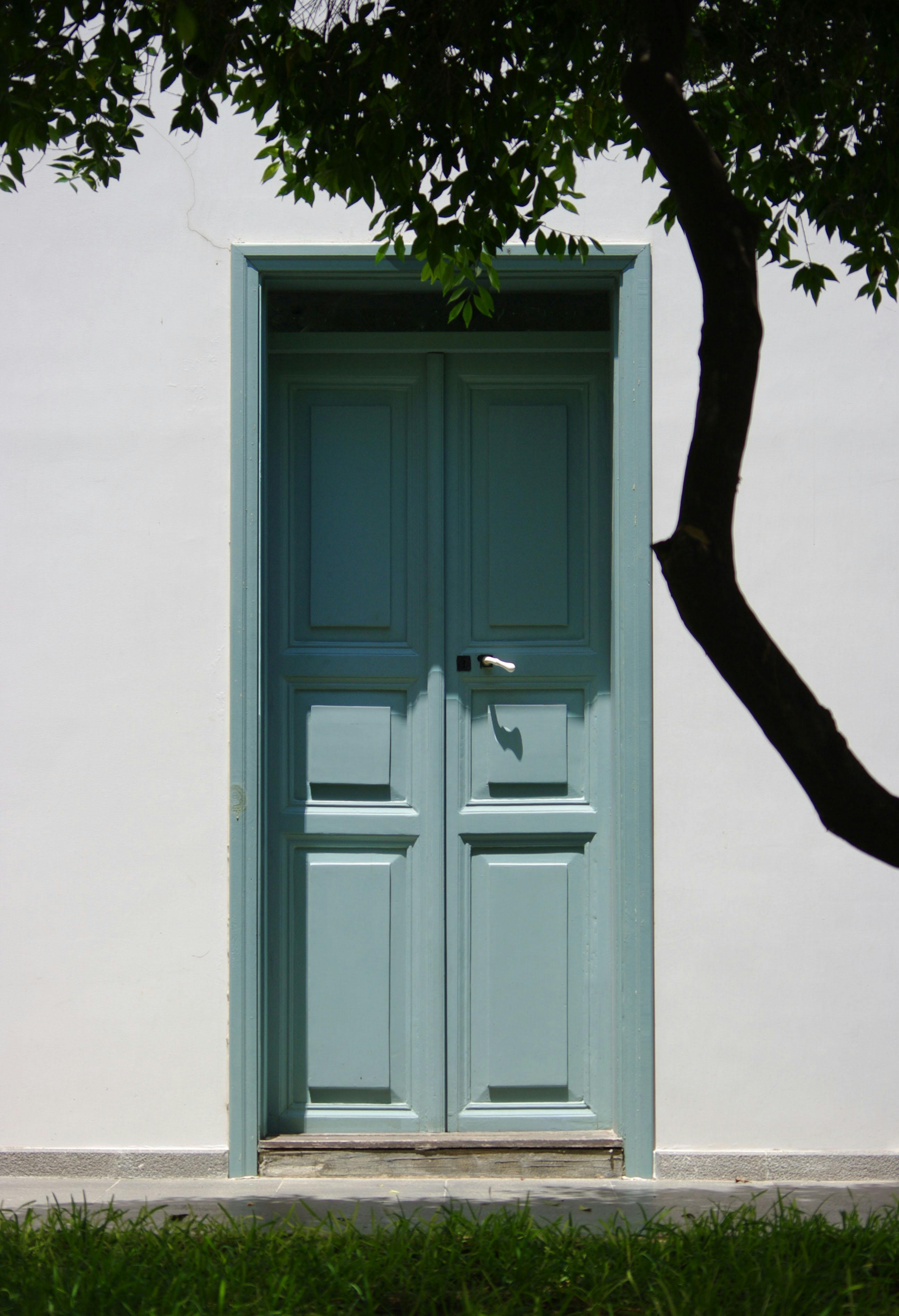 A classic green-framed wooden door under a tree's shadow in Tripoli, Lebanon.