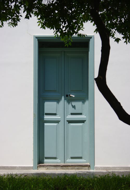 Free Green Wooden Door Beside Tree Stock Photo