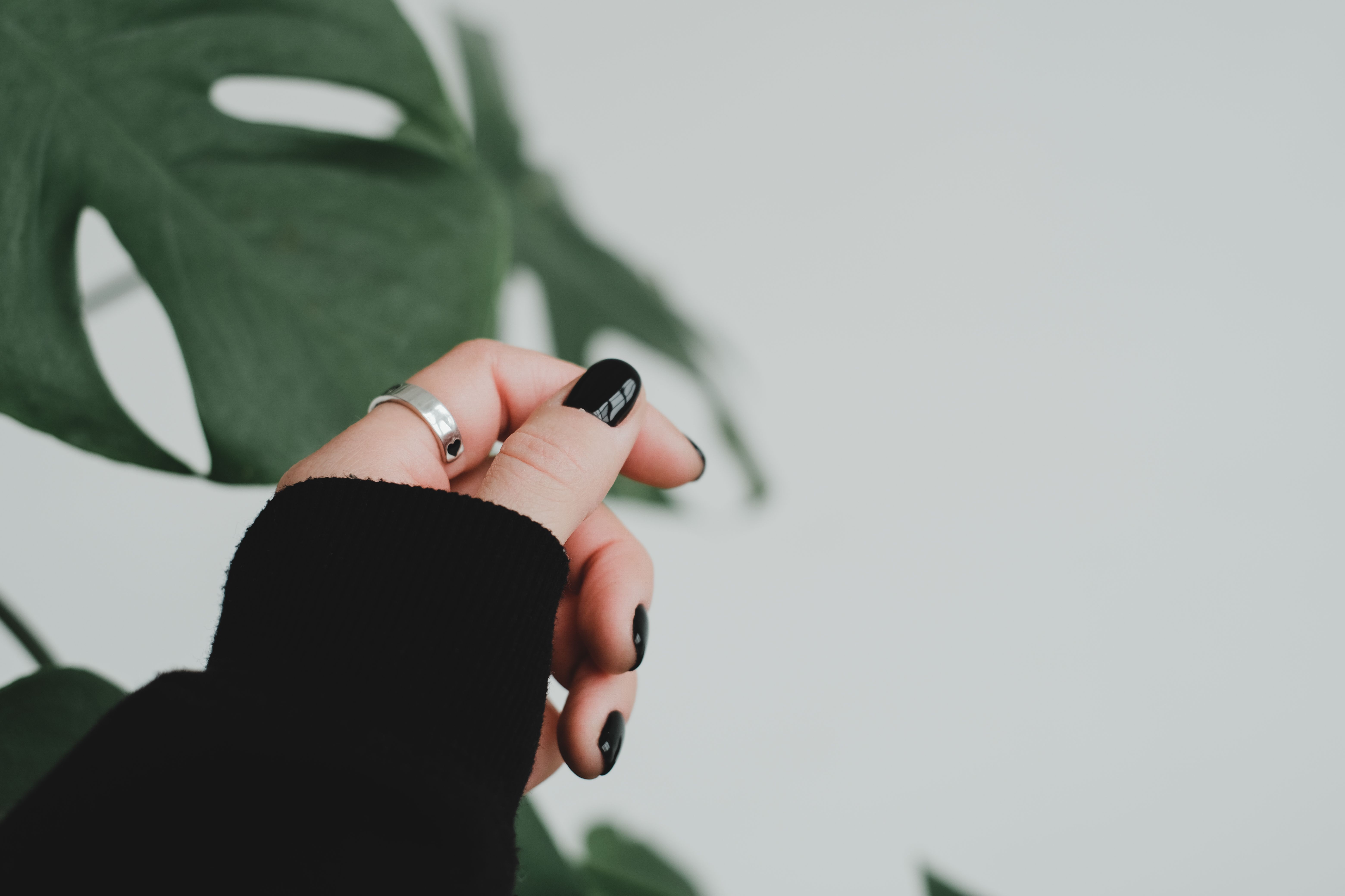 Freshly finished nails with botanical backdrop