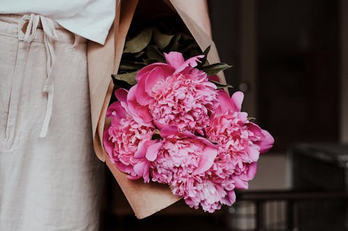 Free A Person Holding Peony Flowers in a Brown Paper Bag Stock Photo