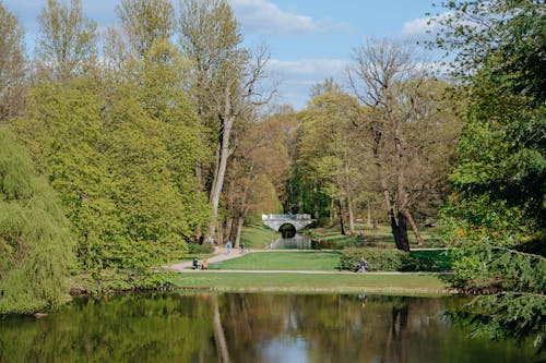 무료 공공 공원, 나무, 녹지의 무료 스톡 사진