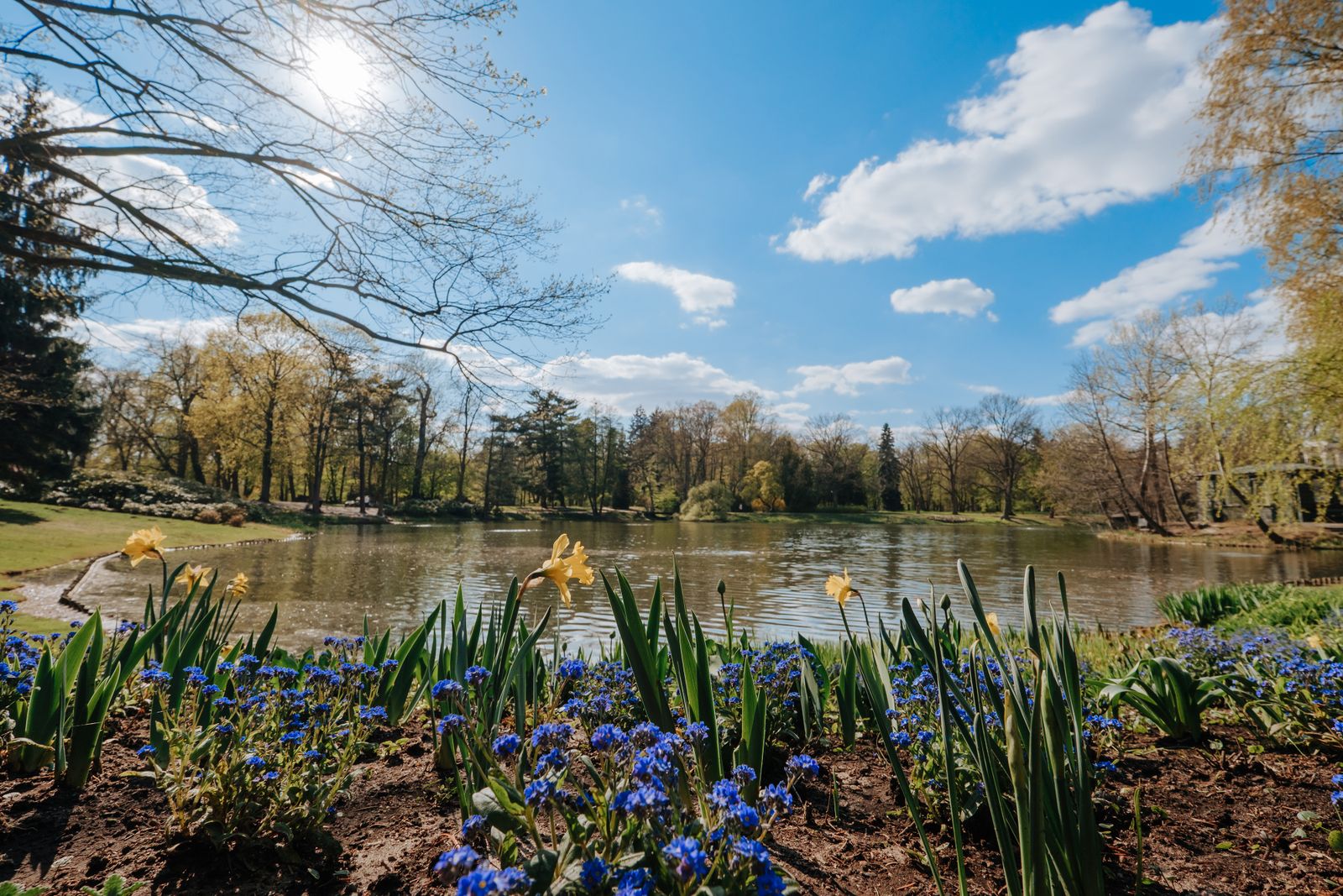 The South Surrey and White Rock Spring Bucket List: 20 Things to Do Before Summer Arrives
